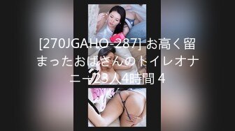 [270JGAHO-287] お高く留まったおばさんのトイレオナニー23人4時間 4