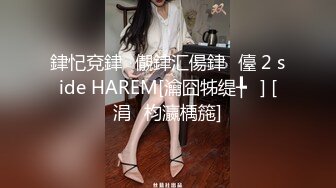 銉忋兗銉儬銉汇偒銉儓 2 side HAREM[瀹囧牬缇╄] [涓枃瀛楀箷]