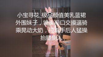 小宝寻花_极品颜值美乳蓝裙外围妹子，镜头前口交摸逼骑乘晃动大奶，拉着手后人猛操抬腿侧入