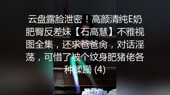 云盘露脸泄密！高颜清纯E奶肥臀反差妹【石高慧】不雅视图全集，还求爸爸肏，对话淫荡，可惜了被个纹身肥猪佬各种蹂躏 (4)