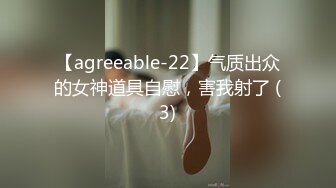 【agreeable-22】气质出众的女神道具自慰，害我射了 (3)