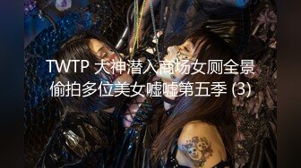 TWTP 大神潜入商场女厕全景偷拍多位美女嘘嘘第五季 (3)